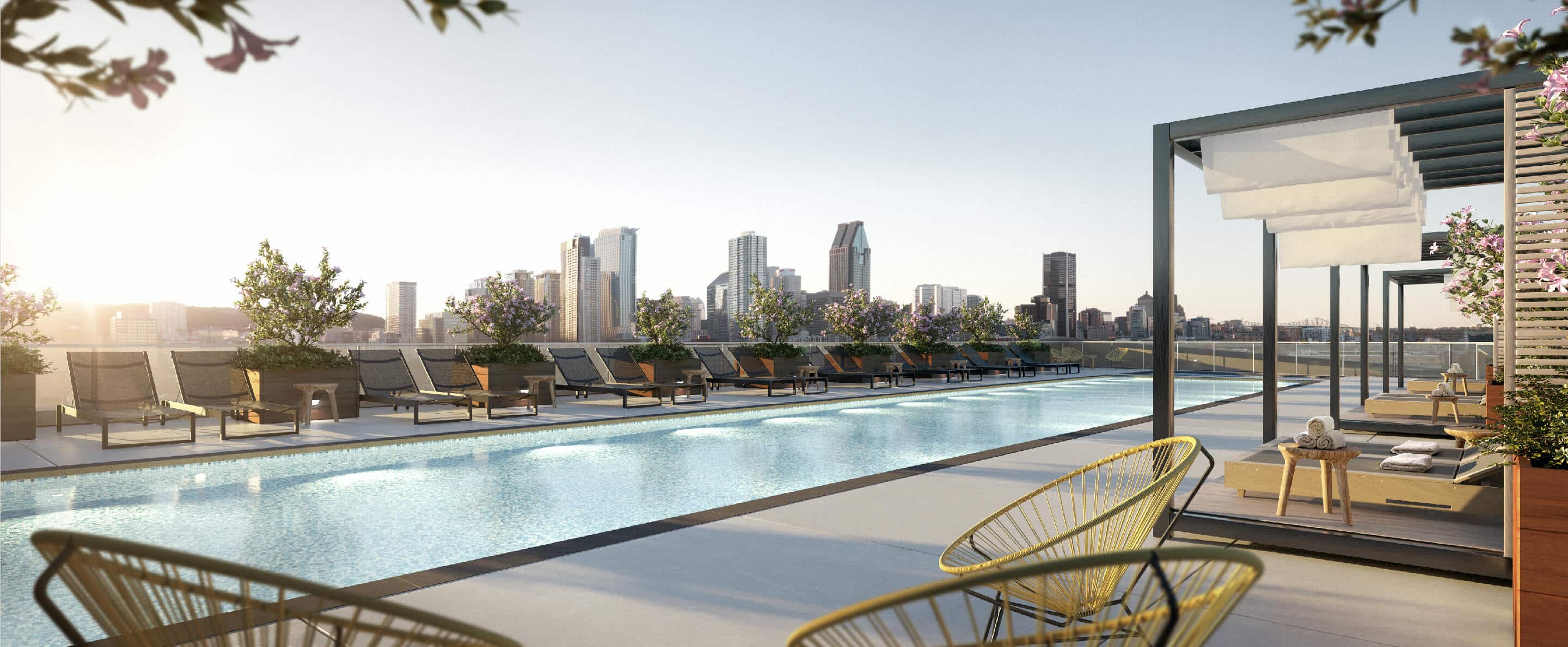 quartier général piscine sur la terrasse