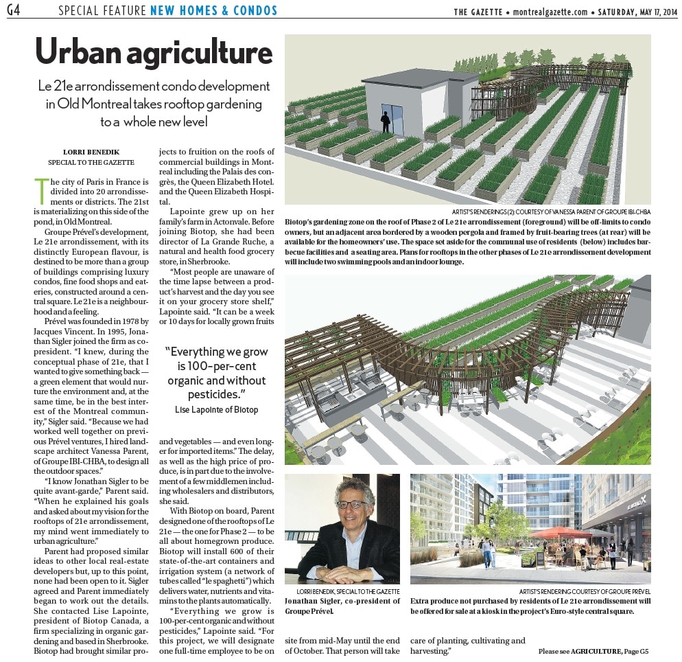 Agriculture urbaine à Montréal, sur les toits du projet de condos 21e arrondissement.