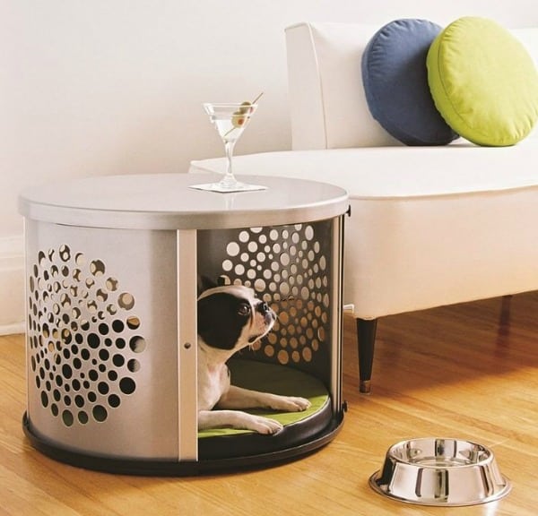 table-chien-design-prevel-blogue