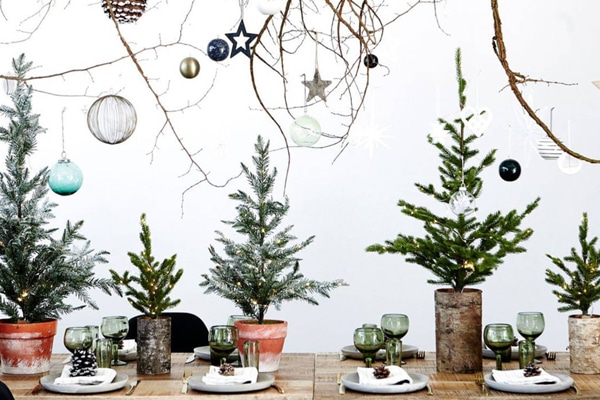 mini-sapin-pot-idee-deco-pour-condo