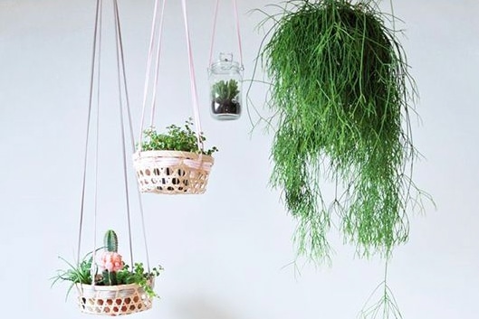 plante-verte-suspendue-deco