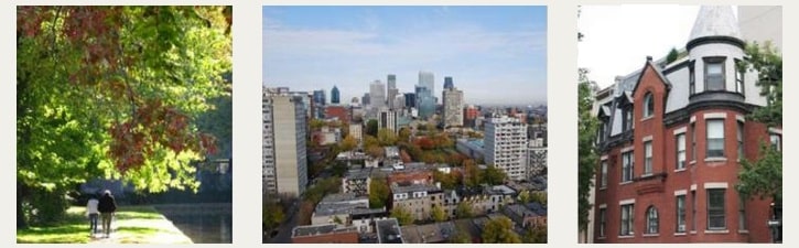 Le village Shaughnessy, situé dans la partie ouest de l’arrondissement Ville-Marie, est délimité par les rues Sherbrooke, Bishop, Saint-Antoine et Atwater. Plusieurs nouveaux commerces ont récemment vu le jour dans ce quartier depuis la construction du complexe de condos urbains Le Seville dont le supermarché Adonis qui est très apprécié des résidents.