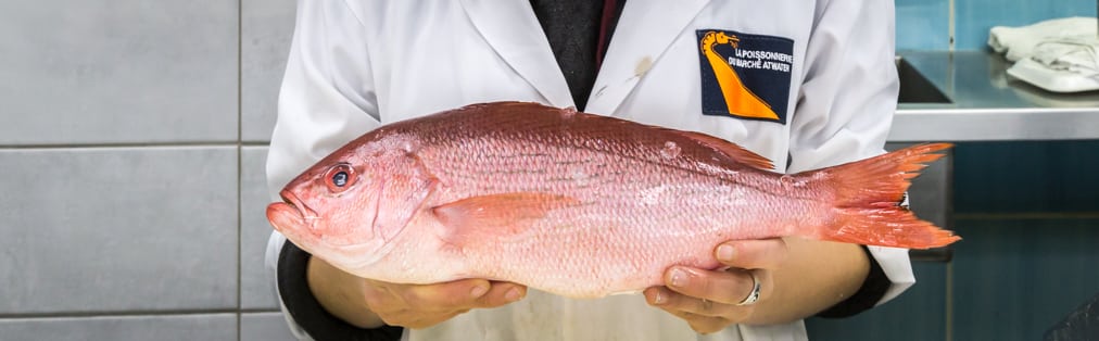 Cuisinez avec les meilleurs poissons, crustacés et coquillages de Montréal!