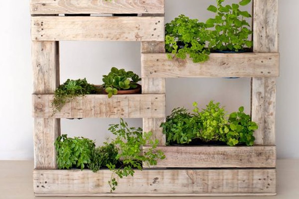 palette-bois-plante-exterieur-balcon