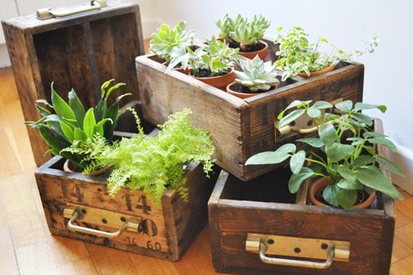 recycler-meuble-plante