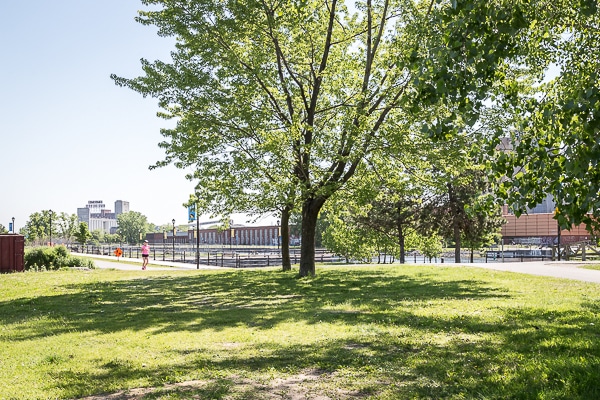 yoga-plein-air-montreal